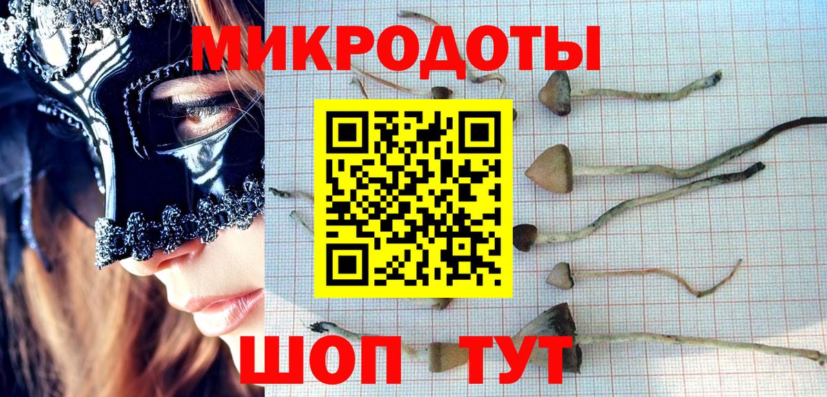 Троицк  Псилоцибиновые грибы Magic Shrooms  Вход с VPN 